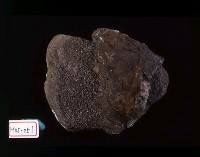 北投石藏品圖，第2張